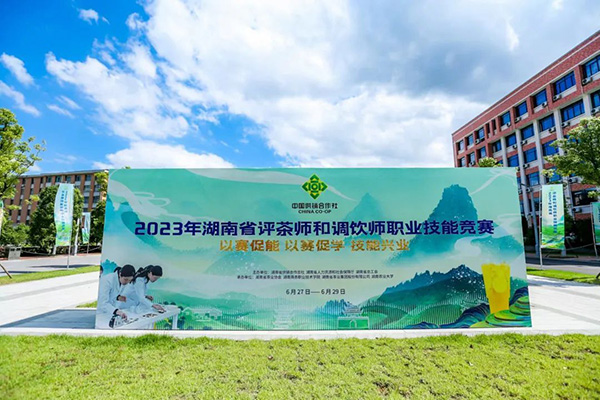 2023年湖南省評茶師和調(diào)飲師職業(yè)技能競賽圓滿閉幕 省茶業(yè)集團(tuán)喜獲佳績